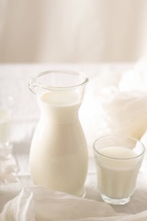 Milk in a jug and glasses on a white background. Table. Tablecloth. Flowers . copy space.の写真素材