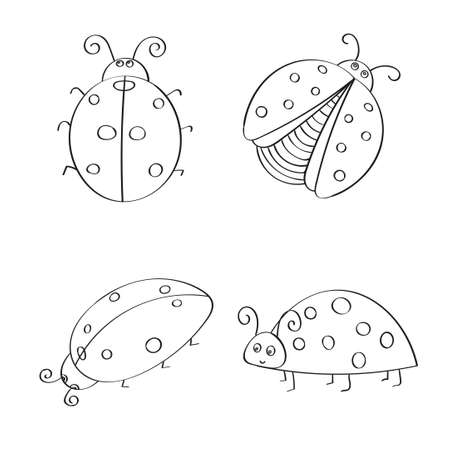 Set of hand drawn ladybugs. Outline. Vector collection of ladybirds.のイラスト素材