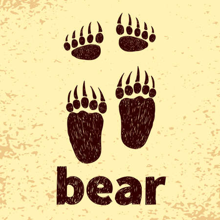 Bear footprints, front and hind paws. Doodle vector illustration.のイラスト素材