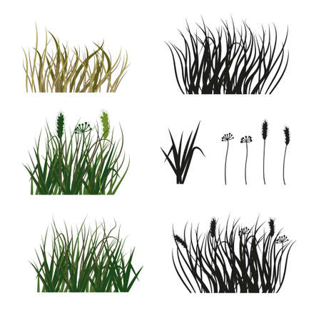 Set of hand drawn silhouette of grass isolated on white background. Collection of vector graphic design elements.のイラスト素材