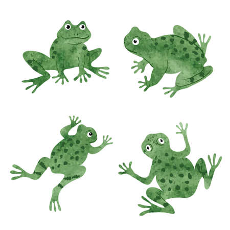 Set of cute watercolor frogs isolated on white. Vector illustration.のイラスト素材