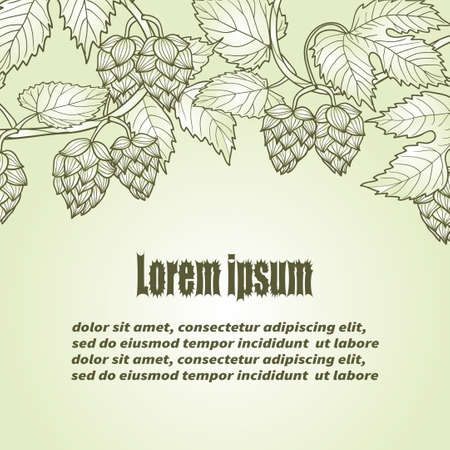 Hops vector background with place for text.のイラスト素材