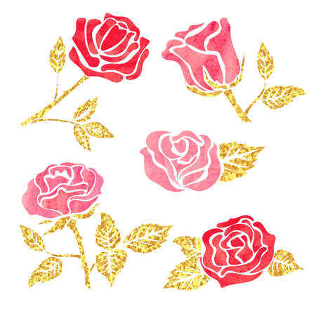 Set of rose flower design elements isolated on white. Vector illustration.のイラスト素材