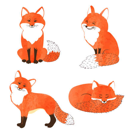 Set of cute watercolor foxes isolated on white. Vector illustration.のイラスト素材