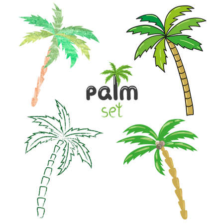 Palm trees set. Vector illustrations isolated on white.のイラスト素材