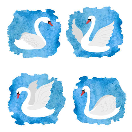 Set of white swans on blue watercolor splashes. Vector illustration.のイラスト素材