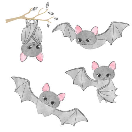 Set of cute bats flying hanging on the tree. Vector illustration.のイラスト素材