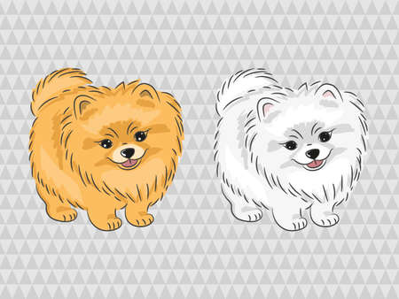 Pomeranian dog. Vector illustration of cute puppy.のイラスト素材