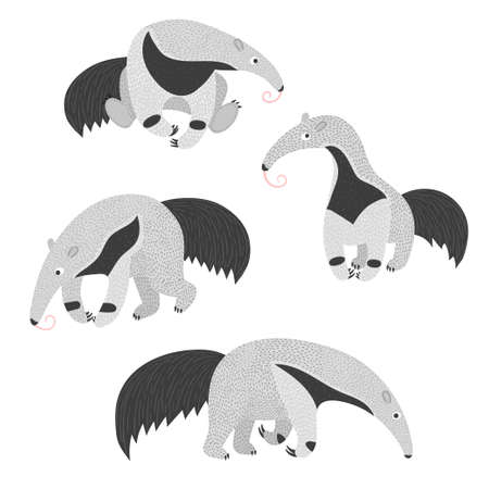 Set of cute ant eaters. Vector illustration.のイラスト素材