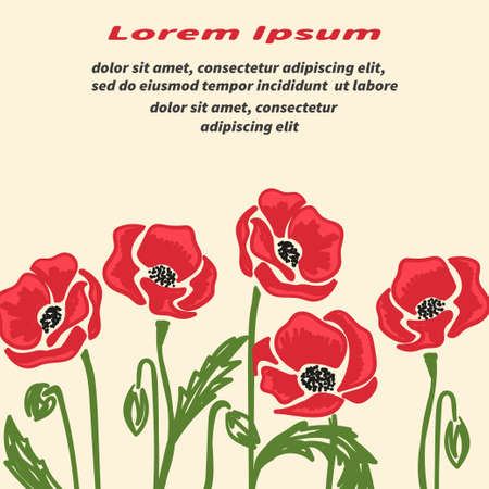 Bright doodle poppy flowers vector illustration. Remembrance day poster.のイラスト素材
