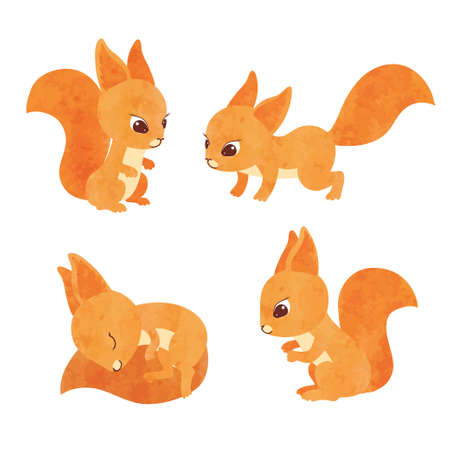 Set of cute little squirrels. Vector watercolor illustration.