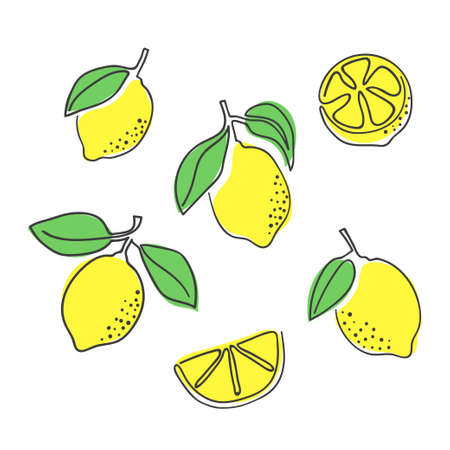 Lemons set. Hand drawn one line lemon vector illustration. Citrus fruits minimal design.のイラスト素材