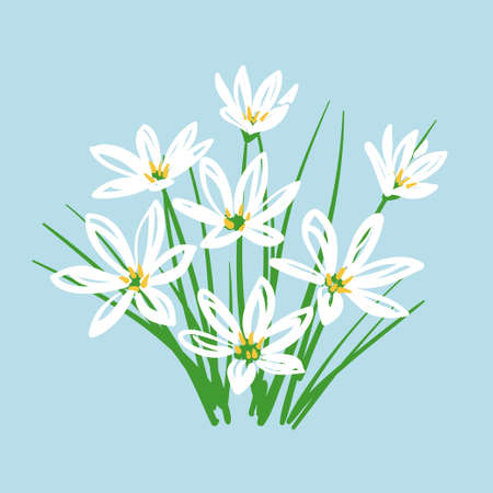 Doodle bouquet of white flowers. Vector illustrationのイラスト素材