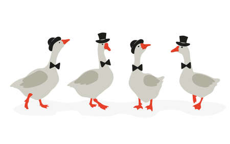Cute cartoon geese gentlemen set.  Vector illustration of funny goose.のイラスト素材