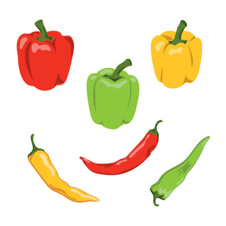 Set of colorful peppers. Bell peppers and chili vector illustrationのイラスト素材