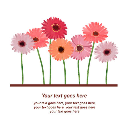 Gerbera flowers set. Vector watercolor illustration of colorful daisy. Birthday card designのイラスト素材