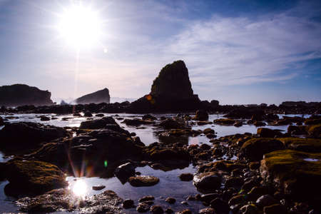 sunの写真素材
