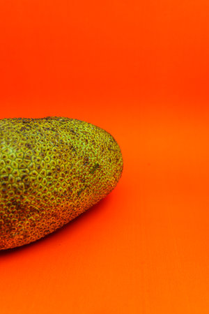 Avocado fruit on orange background. Copy space for your text.