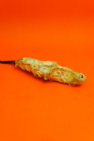 dried chilli pepper on a orange background, closeup of photoの写真素材