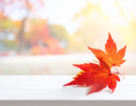 Vibrant red maple leaves rest on a white surface with a blurred autumn background creating a peaceful fall scene Ideal for seasonal designs and nature themesの素材