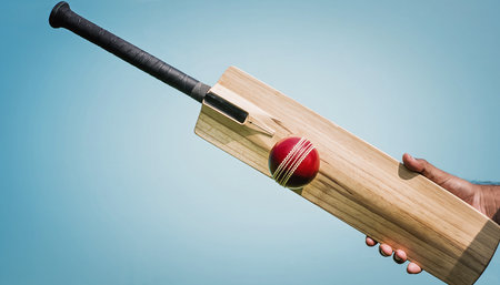 A hand holds a wooden cricket bat with a red ball resting on it. Clear details and vibrant colors enhance vis...の素材