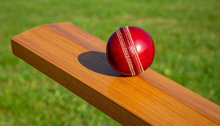 Cricket ball on a wooden bench with green grass in the backgroundの素材