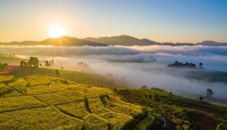 Sunrise at Terraced Rice Field in Mae Hong Son, Thailandの素材