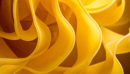 Close up of a raw italian tagliatelle pasta.の素材