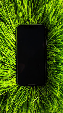 Smartphone with blank screen on green grass background. Top view.の素材