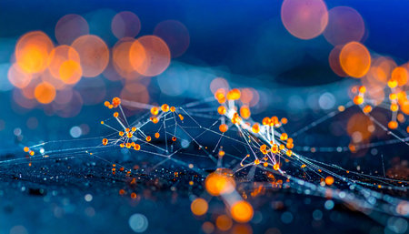 spider web with bokeh background, closeup of photoの素材