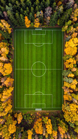 Aerial view of a soccer field in the autumn forest. Top viewの素材