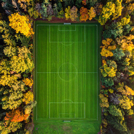 Aerial view of a soccer field in the autumn forest. Top view.の素材