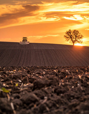 tractor plowing a field with a tree in the background at sunsetの素材