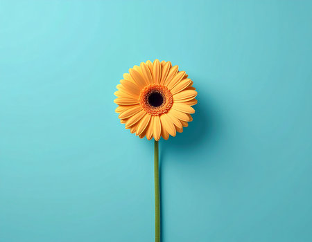 Yellow gerbera flower on blue background. 3D illustration.の素材