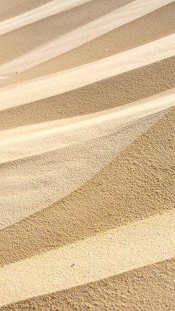 Sand dunes in the desert as an abstract background. Texture.の素材