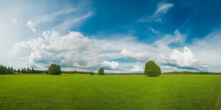 Green field with blue sky and white clouds, panoramic viewの素材