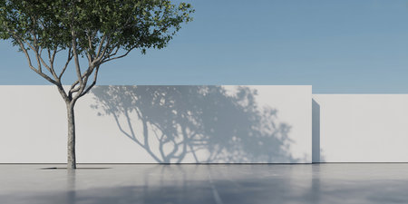 3D rendering of a white wall with a tree in the foregroundの素材
