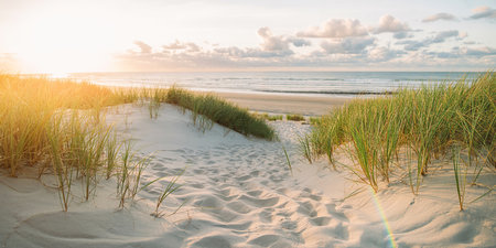 Sunset on the beach of the Baltic Sea with dunes and grassの素材
