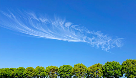 blue sky with white clouds and green trees, closeup of photoの素材