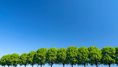 Row of green trees with clear blue sky background in a row.の素材