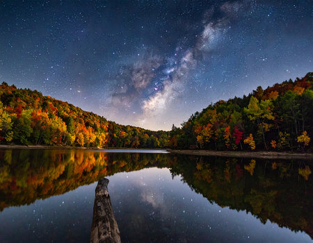 Milky Way over the lake in the autumn forest with colorful treesの素材