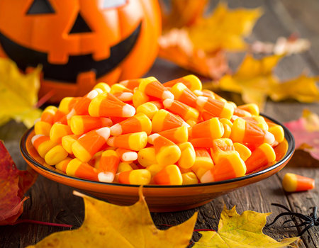 Halloween candy corn in bowl on wooden table with pumpkins and leavesの素材