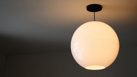 White lamp hanging on the ceiling with black lampshade on itの素材