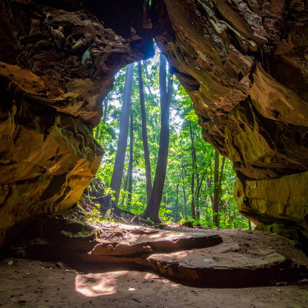 Cave in the deep forest with light rays coming through the holeの素材