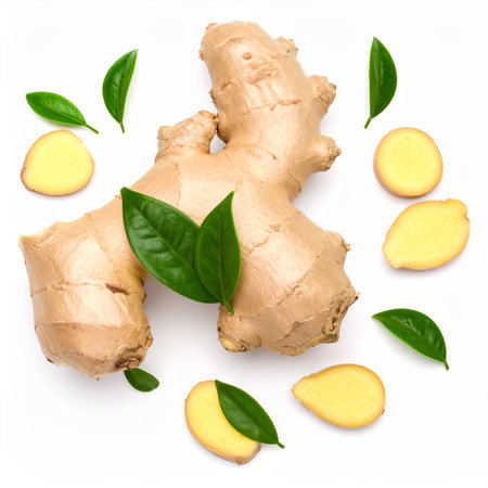 Ginger root with green leaves isolated on white background. Top viewの素材