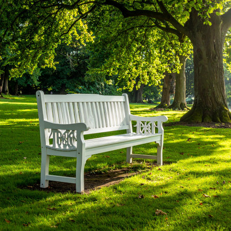 White wooden bench in the park with green grass and trees in the backgroundの素材