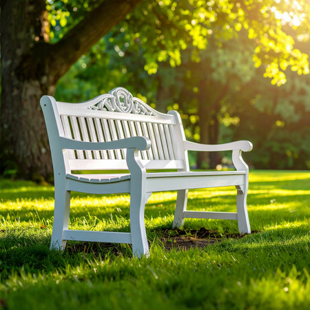 White wooden bench in the park on the green grass in summer dayの素材