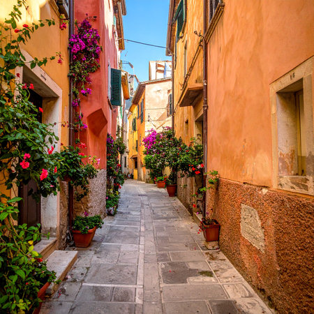 Alleyway in the old town of Rovinj, Croatiaの素材