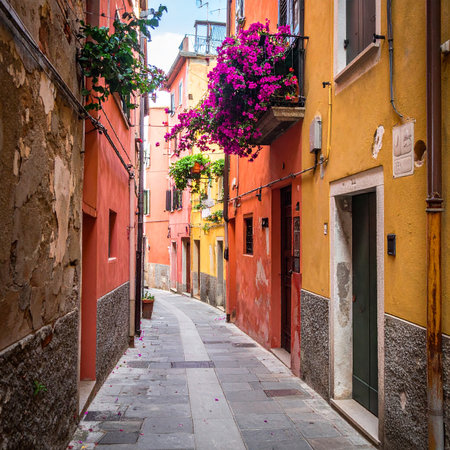 Narrow street in Rovinj, Istria, Croatiaの素材