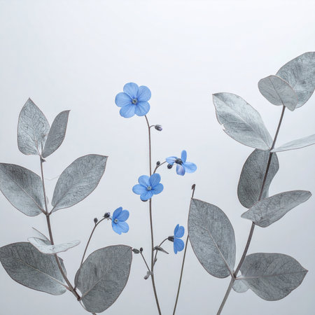 Blue flowers and grey eucalyptus branches on white backgroundの素材